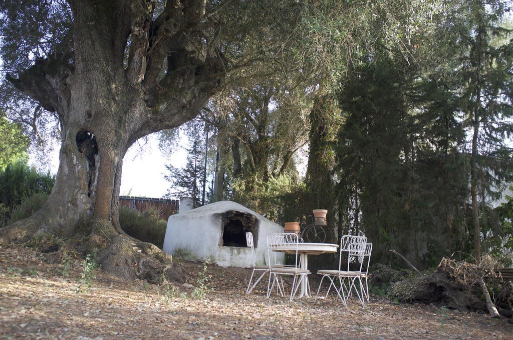 Villas De La Ermita Vejer de la Frontera Eksteriør billede